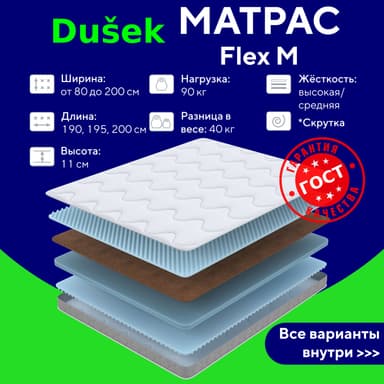 Flex M