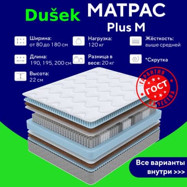 Plus M